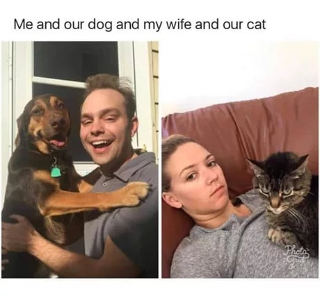 memes - Me and our dog and my wife and our cat