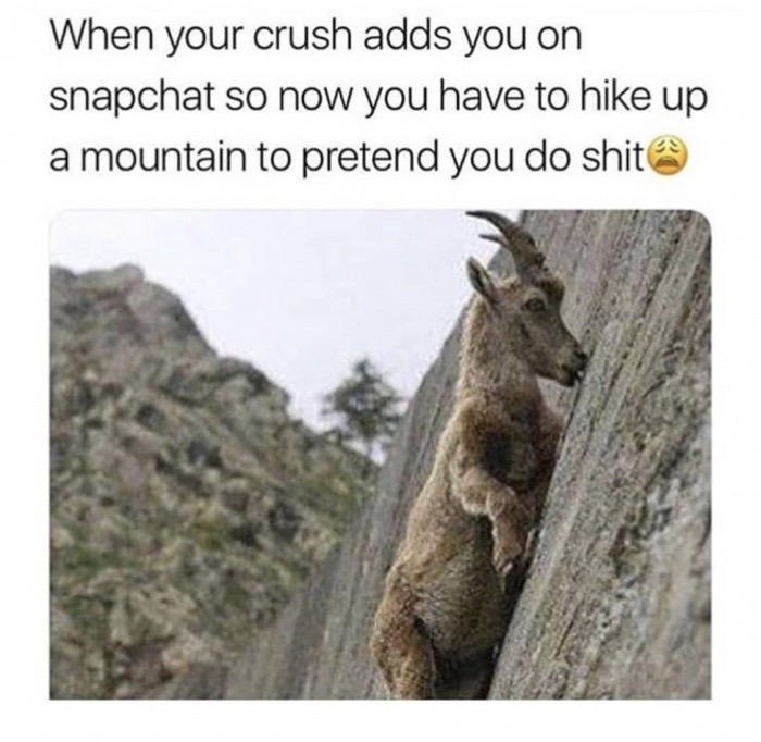 memes - goats rock climbing - When your crush adds you on snapchat so now you have to hike up a mountain to pretend you do shit
