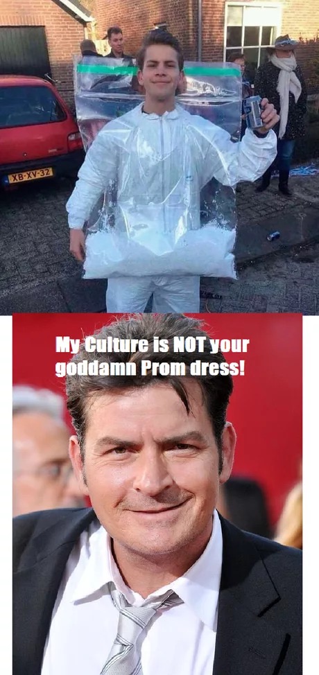 memes - My Culture is Not your goddamn Prom dress!