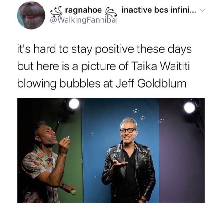 memes - jeff goldblum meme - eef ragnahoe inactive bcs infini... V WalkingFannibal it's hard to stay positive these days but here is a picture of Taika Waititi blowing bubbles at Jeff Goldblum