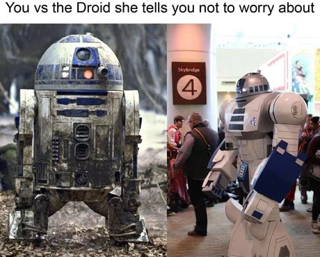 memes - r2d2 cosplay - You vs the Droid she tells you not to worry about Skybridge S Inici