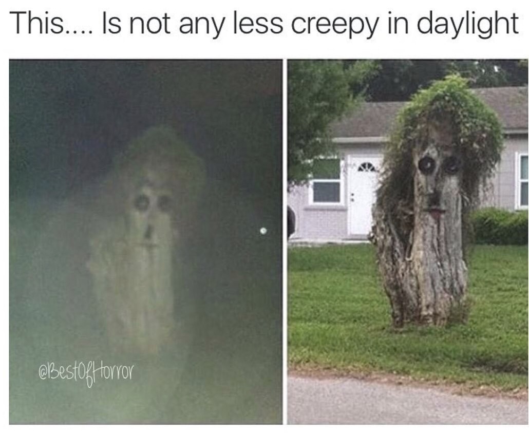 memes - creepy meme - This.... Is not any less creepy in daylight Horror