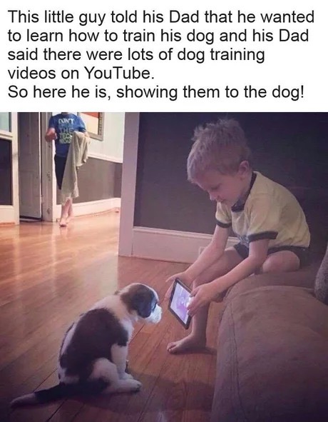 memes - boy showing dog training video - This little guy told his Dad that he wanted to learn how to train his dog and his Dad said there were lots of dog training videos on YouTube. So here he is, showing them to the dog!