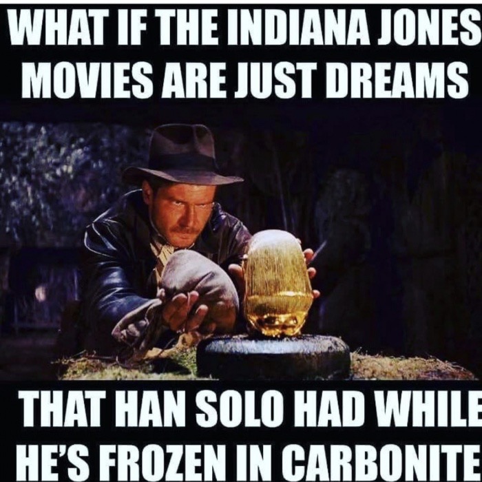 memes - 1 hour here is 7 years on earth meme - What If The Indiana Jones Movies Are Just Dreams That Han Solo Had While He'S Frozen In Carbonite