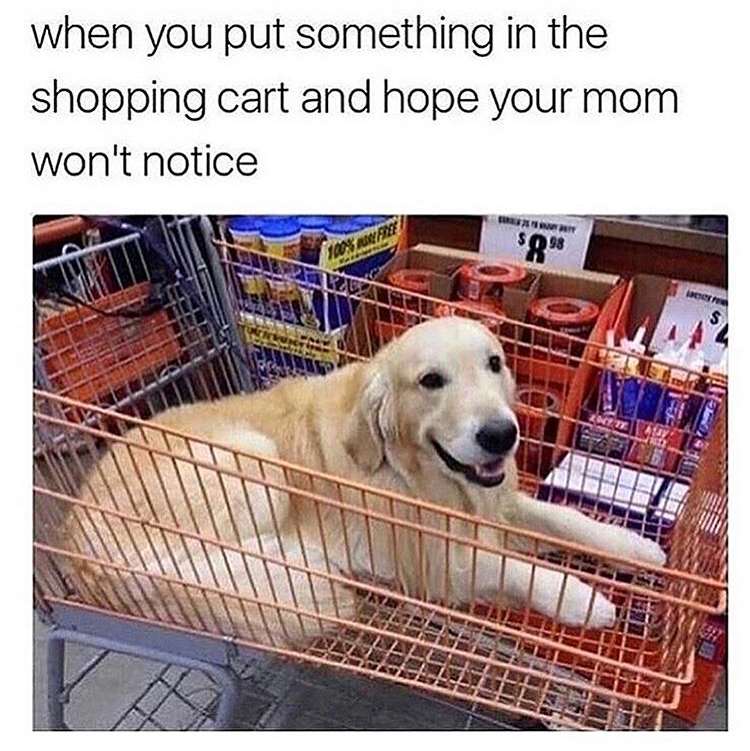 memes - when you put something in the shopping cart and hope your mom won't notice $0.98