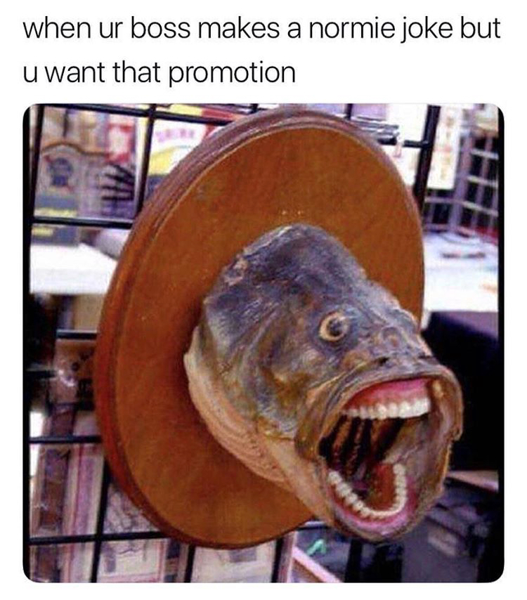 memes - your boss makes a normie joke - when ur boss makes a normie joke but u want that promotion