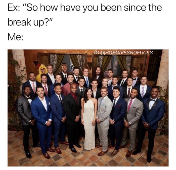 memes - bachelorette cast 2018 - Ex "So how have you been since the break up?" Me Ig