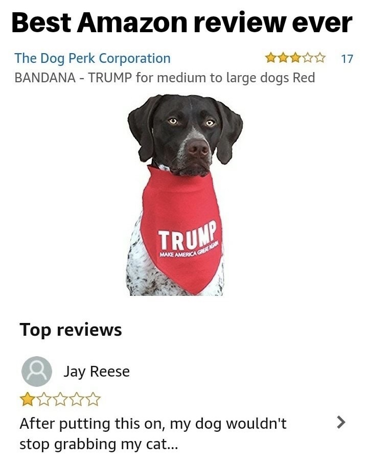 best amazon review ever - Best Amazon review ever The Dog Perk Corporation Bandana Trump for medium to large dogs Red Trump Make America Gre Top reviews Jay Reese After putting this on, my dog wouldn't stop grabbing my cat...