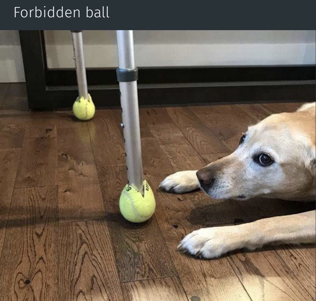 tennis balls walker meme - Forbidden ball