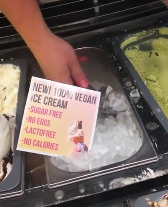 new 100 vegan ice cream - New! 100% Vegan Ice Cream Sugar Free No Eggs Lactofree No Calories