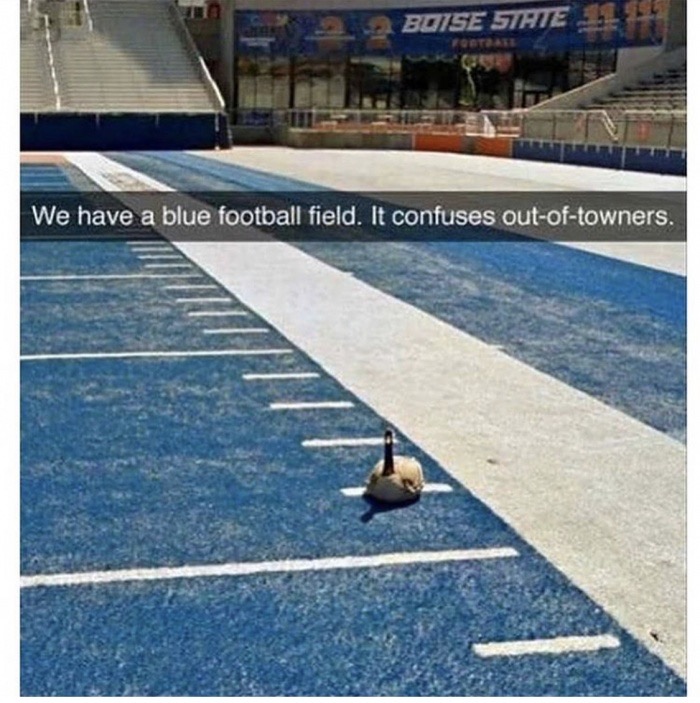 football field meme - Boise 5THIE We have a blue football field. It confuses outoftowners.