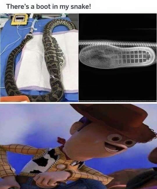 funny Monday meme about a snake eating a boot with pic of Woody from Toy Story