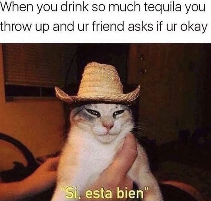 funny Monday meme about drinking so much tequila you become Mexican