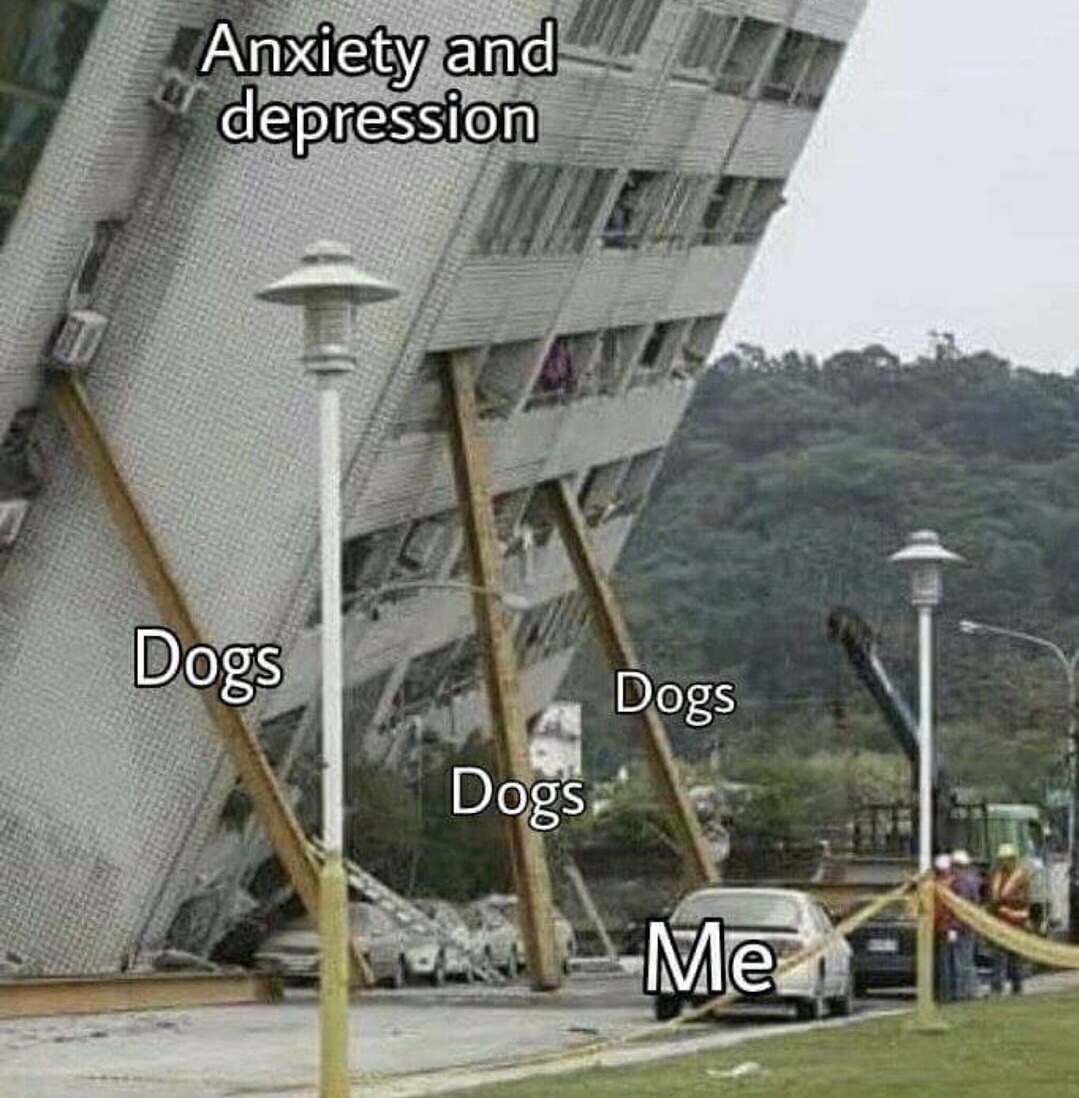 Monday meme about dogs saving you from depression