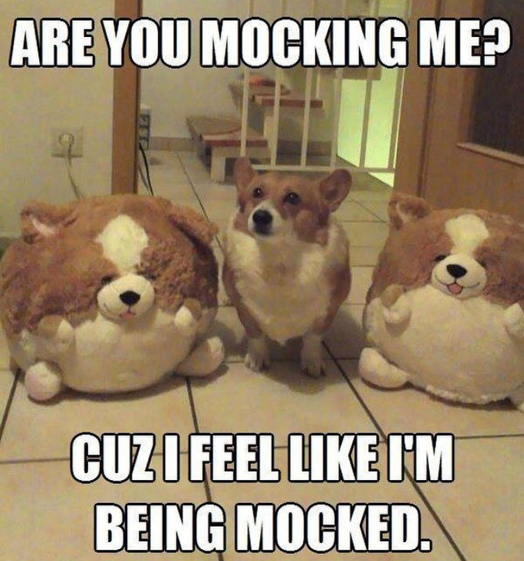 feel like i m being mocked - Are You Mocking Me? Cuz I Feel I'M Being Mocked.