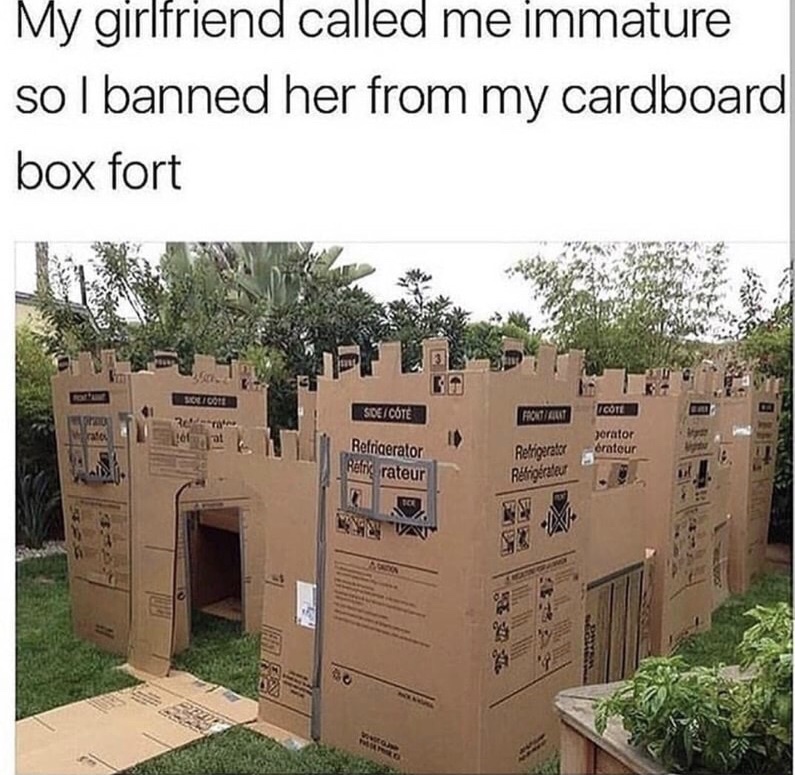 my girlfriend called me immature meme - My girlfriend called me immature sol banned her from my cardboard box fort Silicone Sdeicote Fot Aut Icote Jerator Refrigerator Re rateur Refrigerator Retrobratet