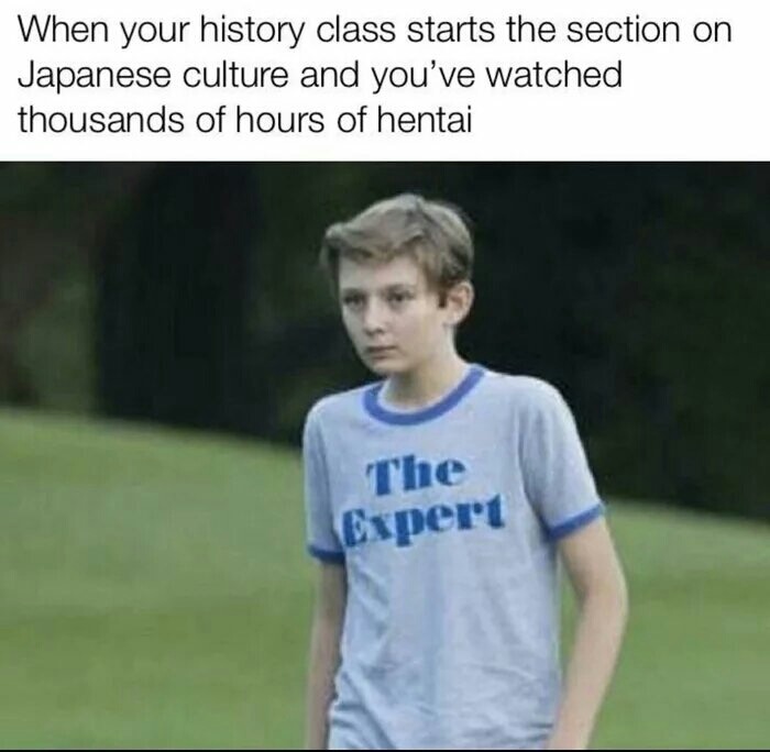 meme stream - kid the expert meme - When your history class starts the section on Japanese culture and you've watched thousands of hours of hentai The Expert
