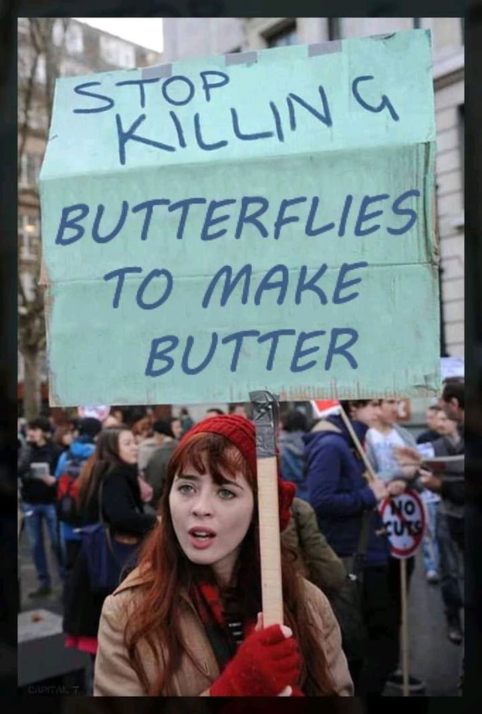 meme stream - stop killing meme - Stop Killing Butterflies To Make Butter