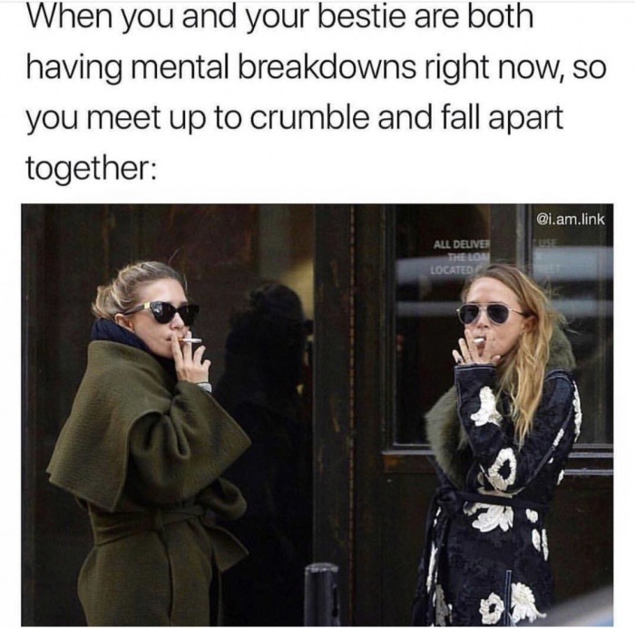 best friend mental breakdown meme - When you and your bestie are both having mental breakdowns right now, so you meet up to crumble and fall apart together .am.link All Delives The Lon Located