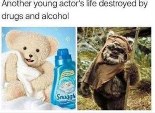 living on your own meme - Another young actor's life destroyed by drugs and alcohol Snuggle