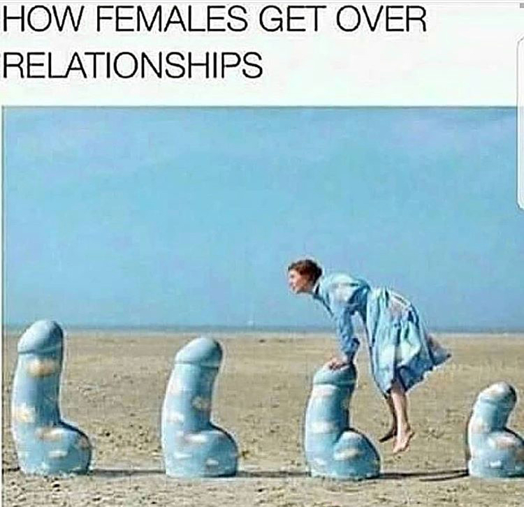 slut dank meme - How Females Get Over Relationships
