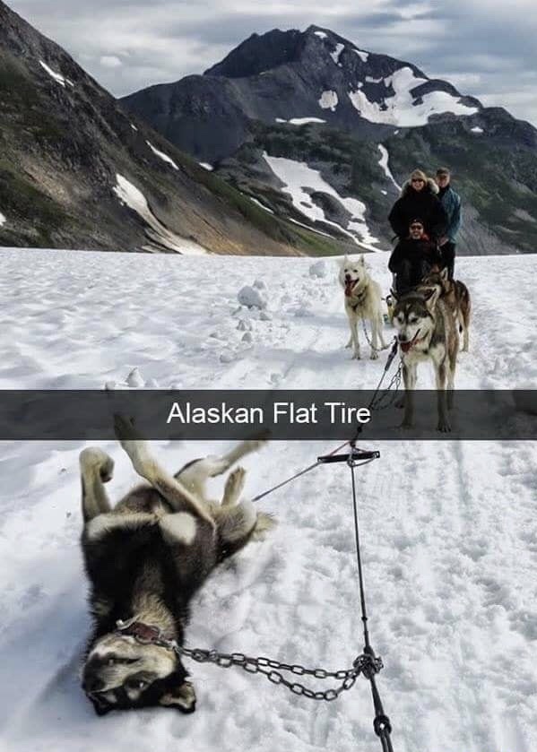 flat tire in alaska - Alaskan Flat Tire