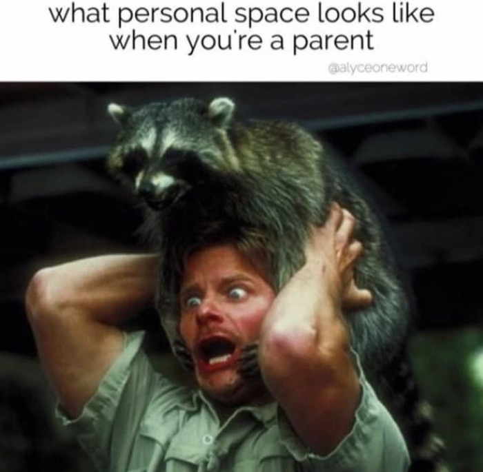 hilarious memes - what personal space looks when you're a parent aalyceoneword