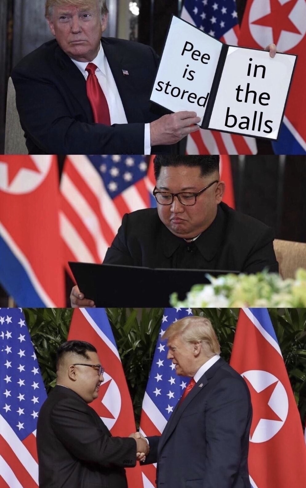 trump kim summit memes - is Pee stored balls the | in