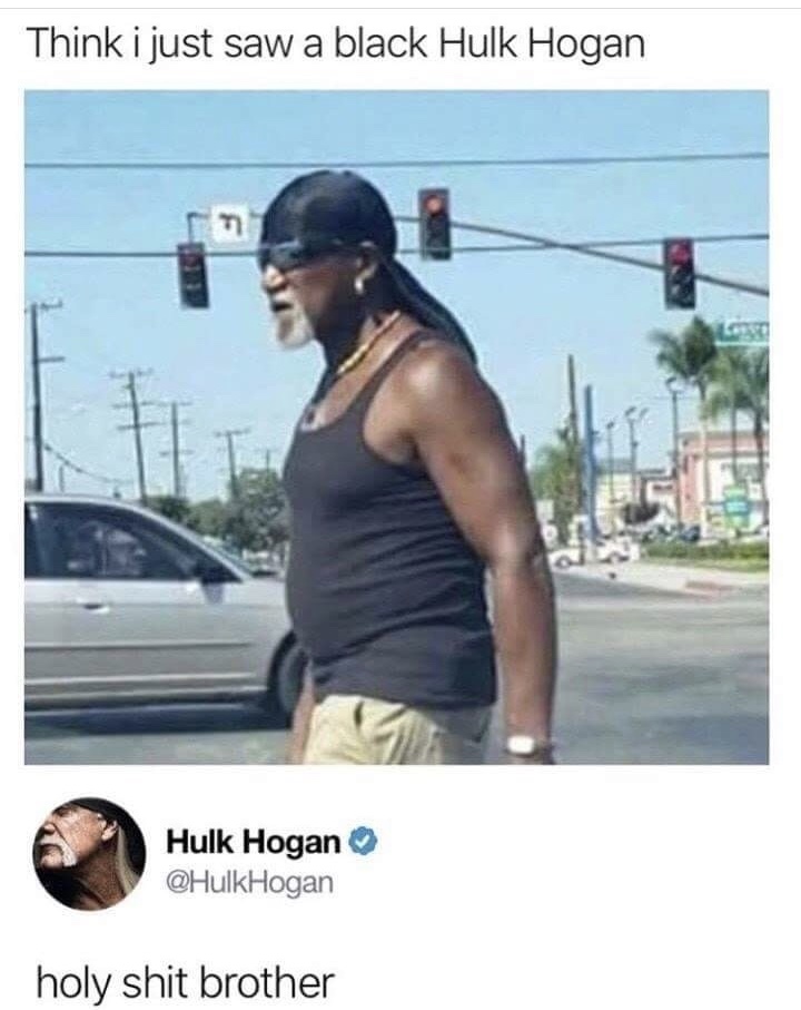 hulk hogan is black - Think i just saw a black Hulk Hogan Hulk Hogan Hogan holy shit brother