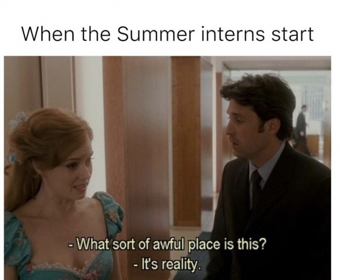 funny movie quotes - When the Summer interns start What sort of awful place is this? It's reality.