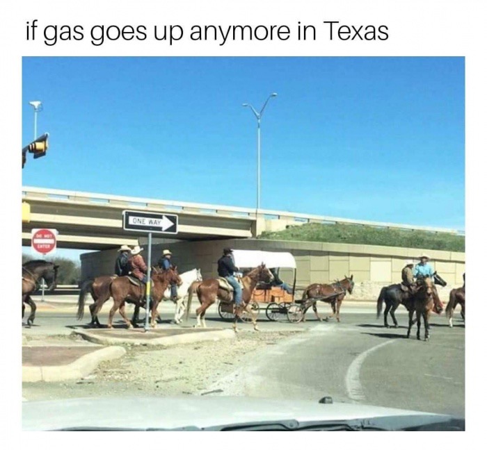 horse - if gas goes up anymore in Texas One Way