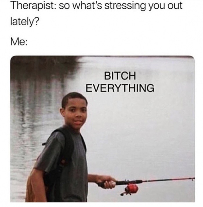 bitch everything meme - Therapist so what's stressing you out lately? Me Bitch Everything