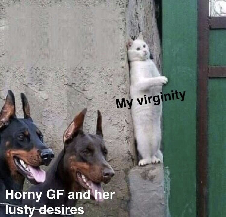 christian memes girlfriend - My virginity Horny Gf and her lusty desires