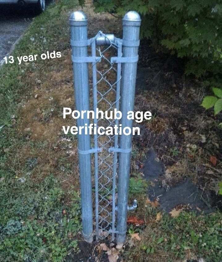 pointless fence - 13 year olds Pornhub age verification