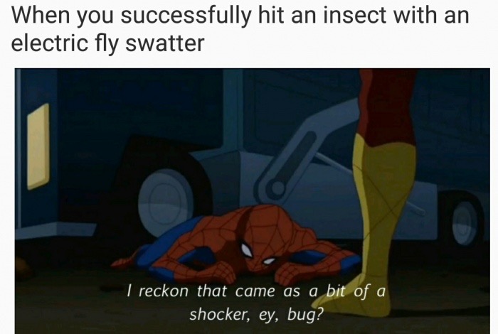 fly swatter meme - When you successfully hit an insect with an electric fly swatter I reckon that came as a bit of a shocker, ey, bug?