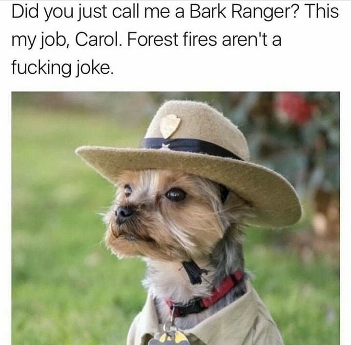 bark ranger meme - Did you just call me a Bark Ranger? This my job, Carol. Forest fires aren't a fucking joke.