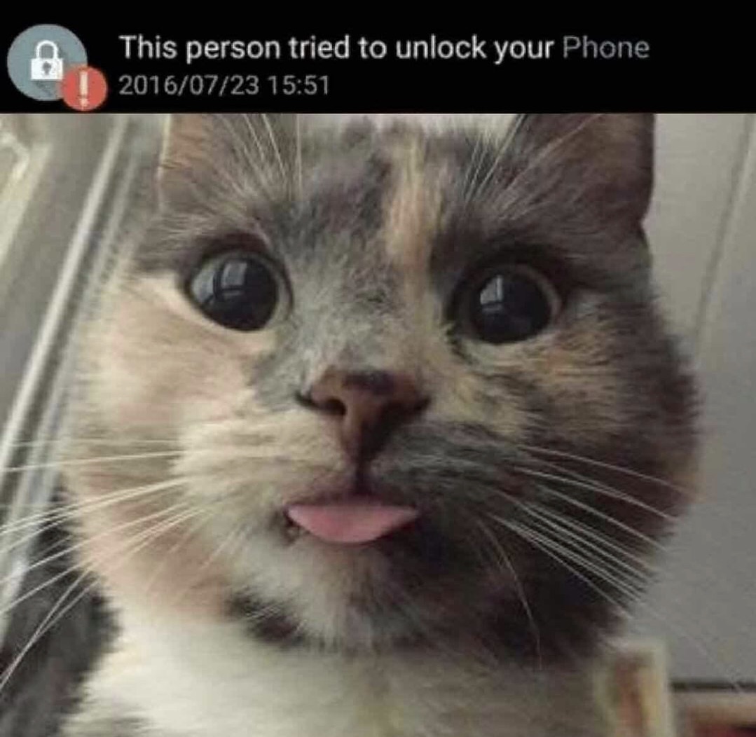 funny animal memes - This person tried to unlock your Phone