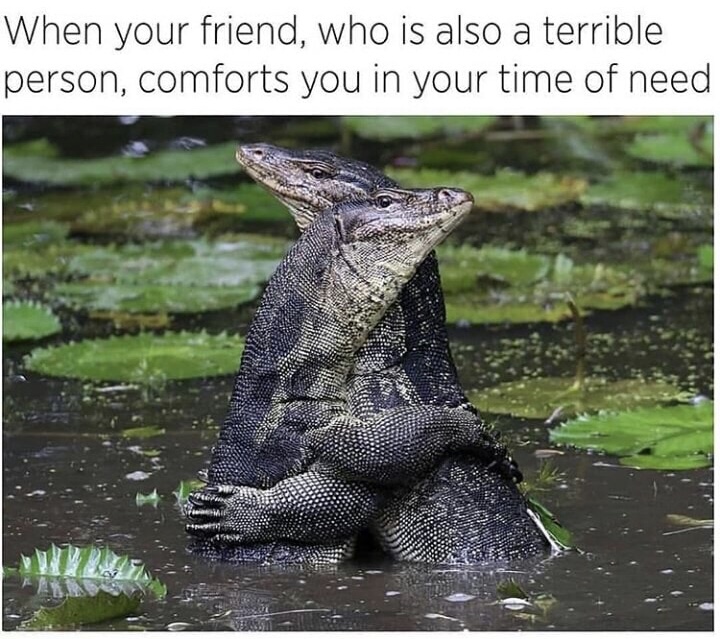 dank memes - komodo dragon - When your friend, who is also a terrible person, comforts you in your time of need