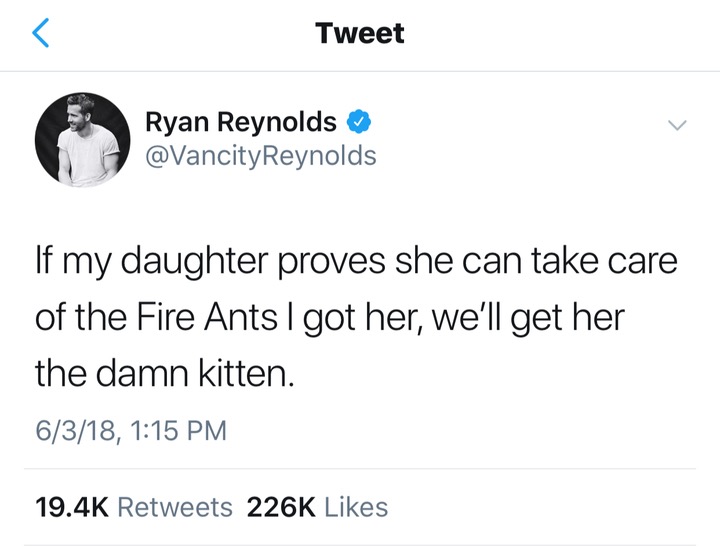 angle - Tweet Ryan Reynolds If my daughter proves she can take care of the Fire Ants I got her, we'll get her the damn kitten. 6318,