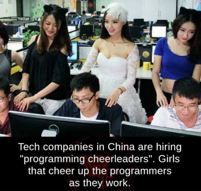 tech companies in china are hiring programming cheerleaders girls that cheer up the programmers as they work - Tech companies in China are hiring, "programming cheerleaders". Girls that cheer up the programmers as they work.