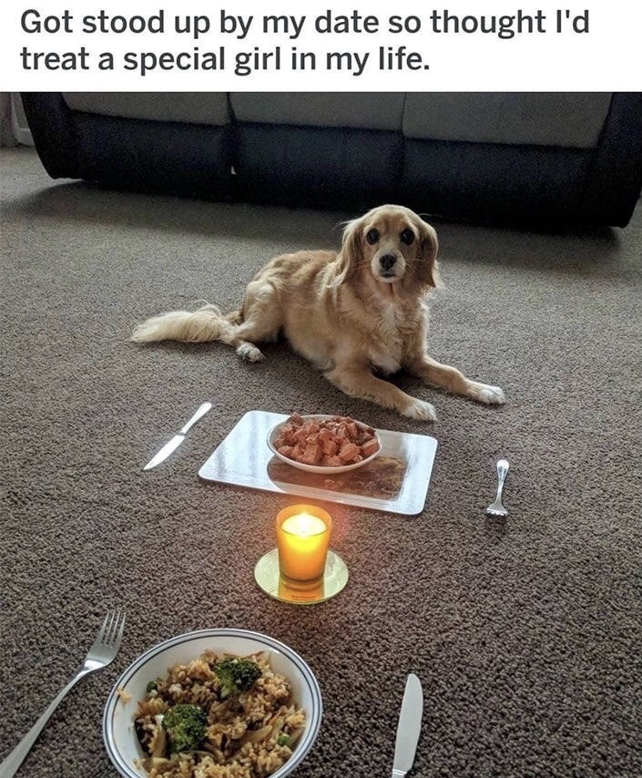 hilarious funny dog memes - Got stood up by my date so thought I'd treat a special girl in my life.