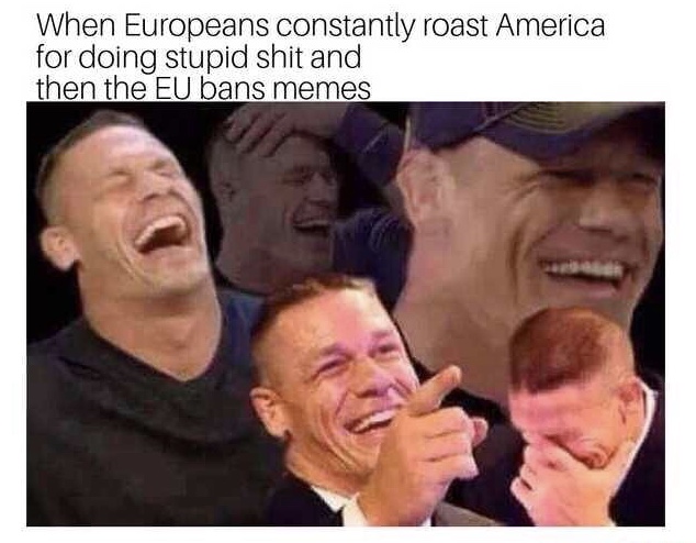 your mom tells a terrible joke - When Europeans constantly roast America for doing stupid shit and then the Eu bans memes