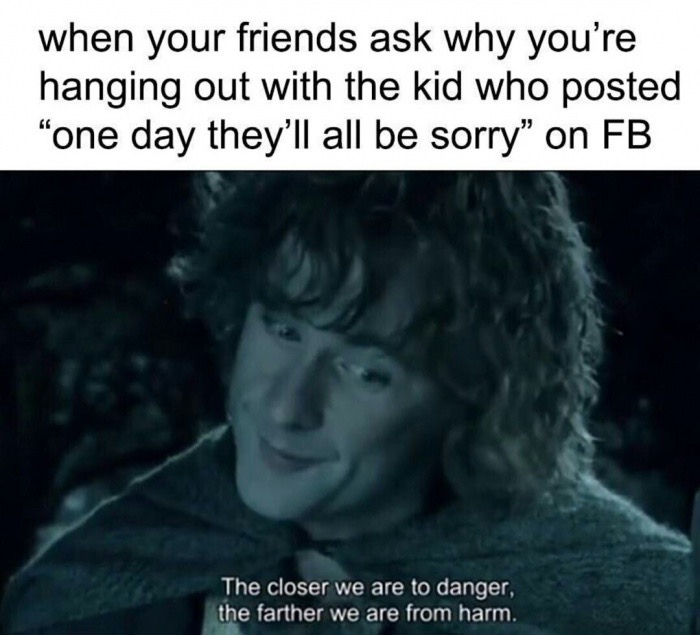 they ll be sorry meme - when your friends ask why you're hanging out with the kid who posted "one day they'll all be sorry" on Fb The closer we are to danger, the farther we are from harm.