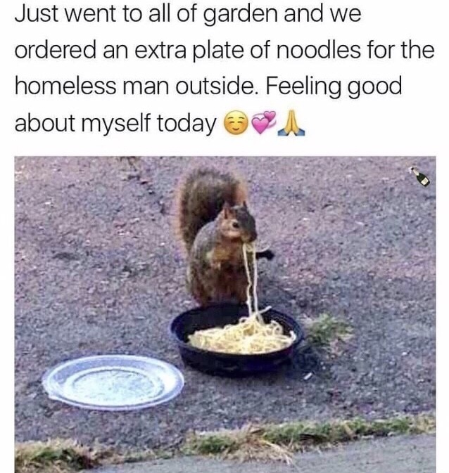 squirrel love meme - Just went to all of garden and we ordered an extra plate of noodles for the homeless man outside. Feeling good about myself today