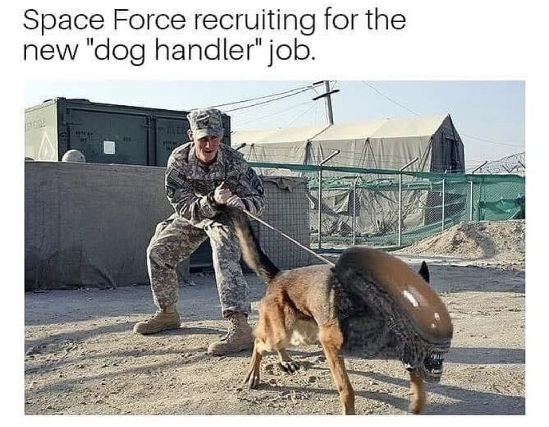 military working dog memes - Space Force recruiting for the new "dog handler" job. Us