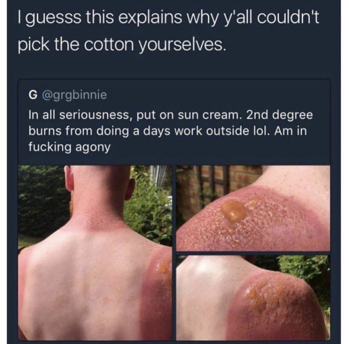 funny egypt memes - I guesss this explains why y'all couldn't pick the cotton yourselves. G In all seriousness, put on sun cream. 2nd degree burns from doing a days work outside lol. Am in fucking agony