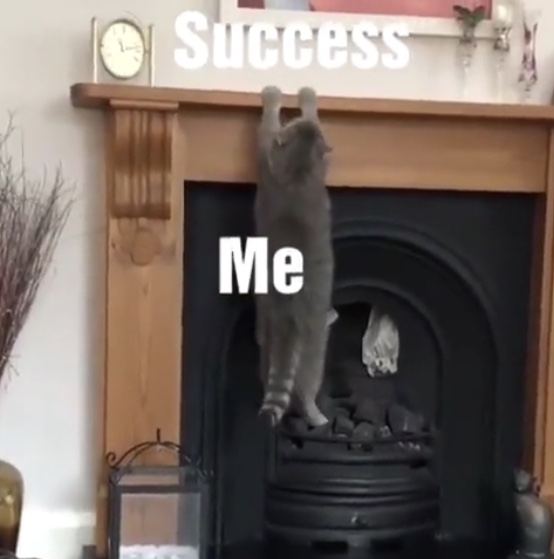 cat mantlepiece - Success Me