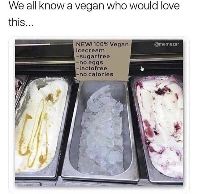 vegan ice cream meme - We all know a vegan who would love this... New! 100% Vegan icecream sugarfree no eggs lactofree no calories