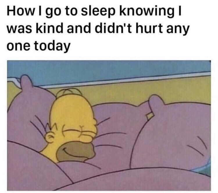 i m going to sleep meme - How I go to sleep knowing | was kind and didn't hurt any one today