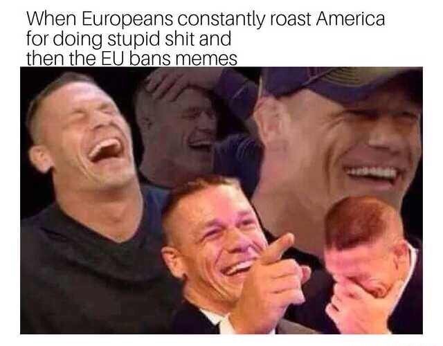 your mom tells a terrible joke - When Europeans constantly roast America for doing stupid shit and then the Eu bans memes